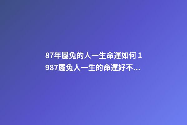 87年屬兔的人一生命運如何 1987屬兔人一生的命運好不好，1987年屬兔人的命運-第1張-觀點-玄機派